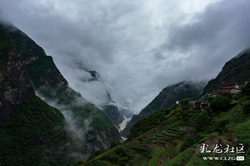 探索知识星球,{面不发可以做什么面食}为你开启智慧之旅